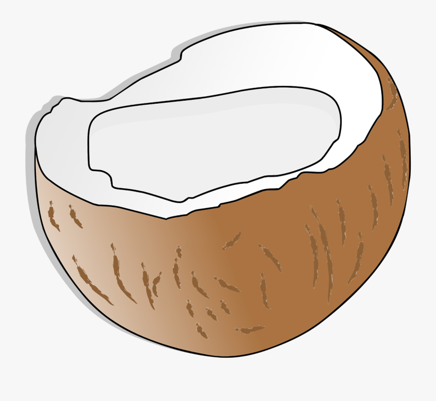 Coconut, Coconut Oil, Coconut Milk, Clipart, Vector - Kokosnuss Clipart, Transparent Clipart