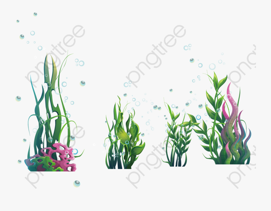 Algae Clipart Under Sea Plant - Seaweed Png, Transparent Clipart