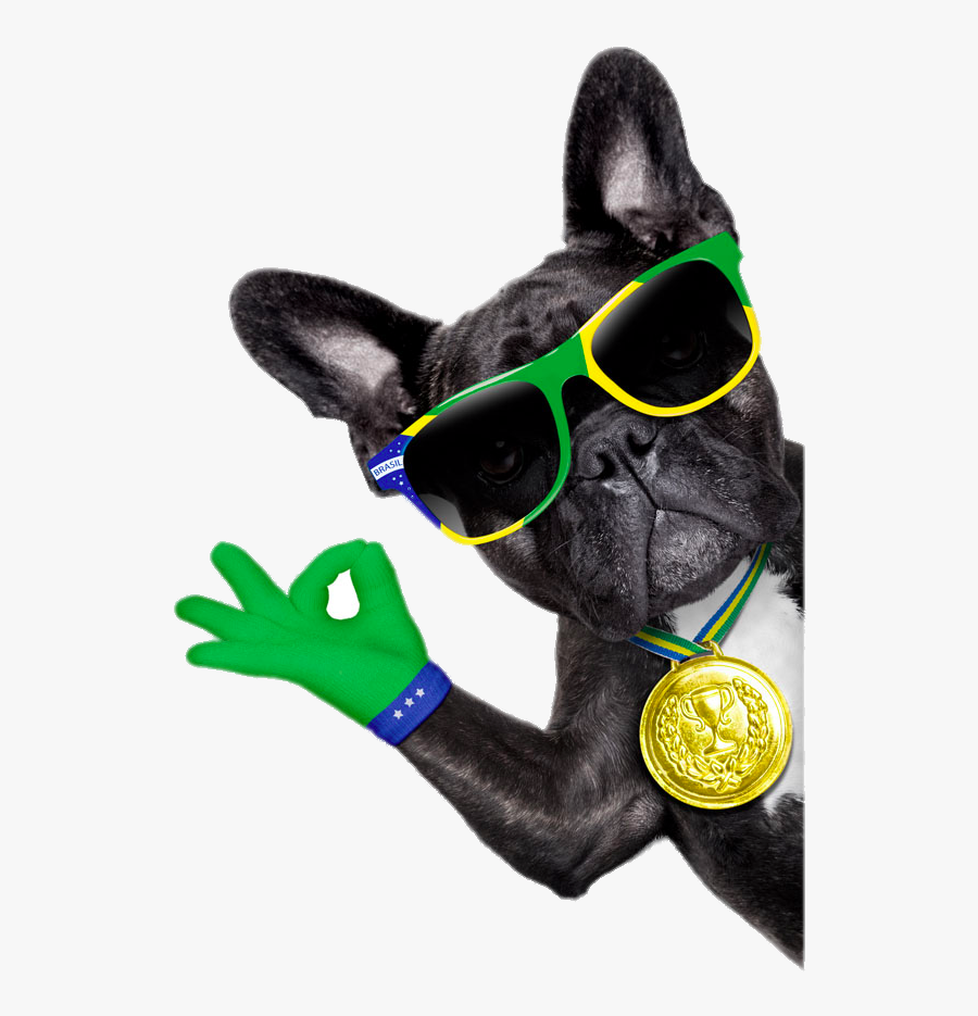 Sunglasses Bulldog Photography Dog French Royalty-free - Brazil Soccer Dog, Transparent Clipart