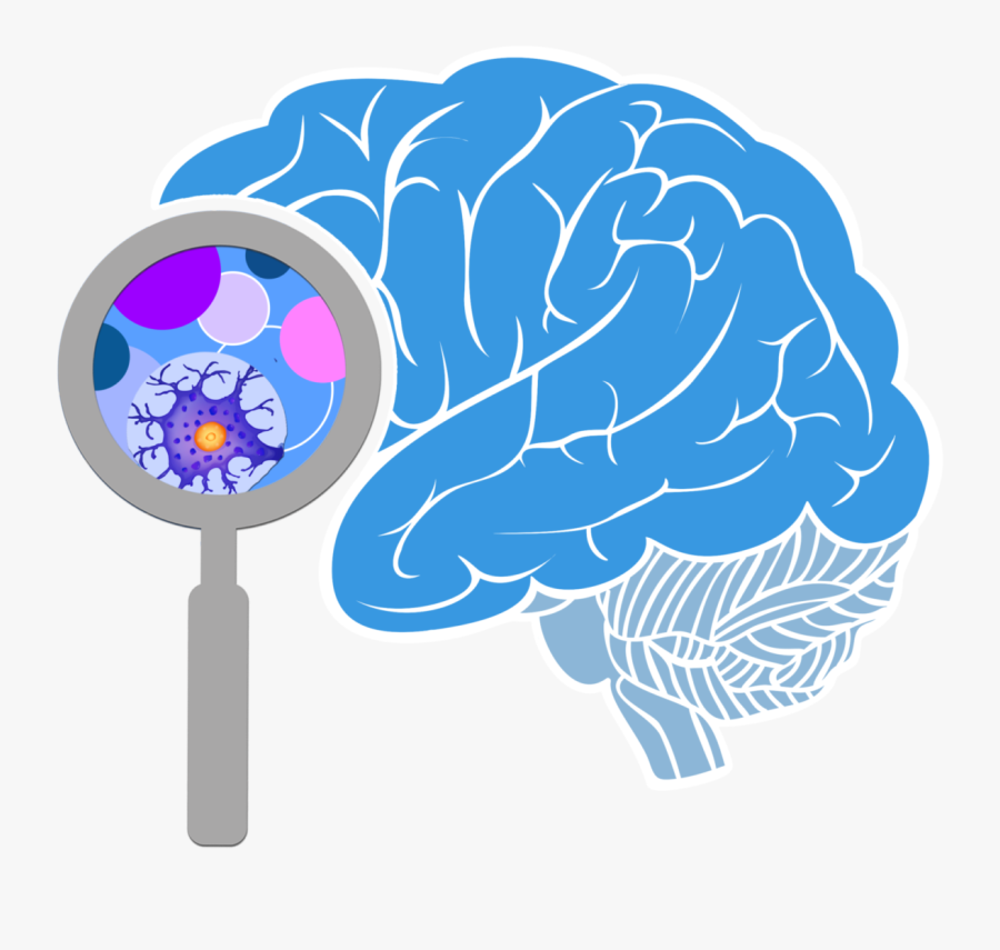 Innovation Clipart Brain Activity Study Brain- - Png Transparent Brain Png, Transparent Clipart