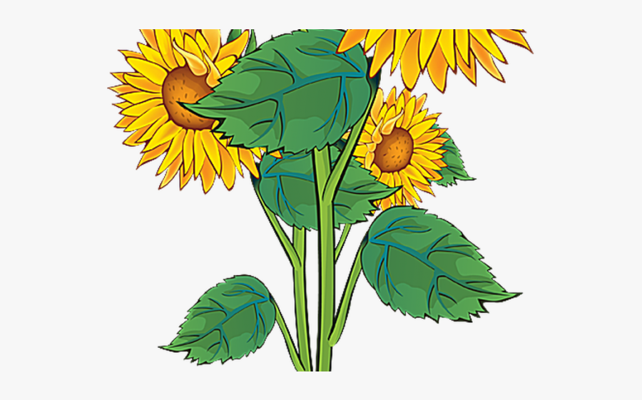 Summer Flower Bouquet Clip Art, Transparent Clipart