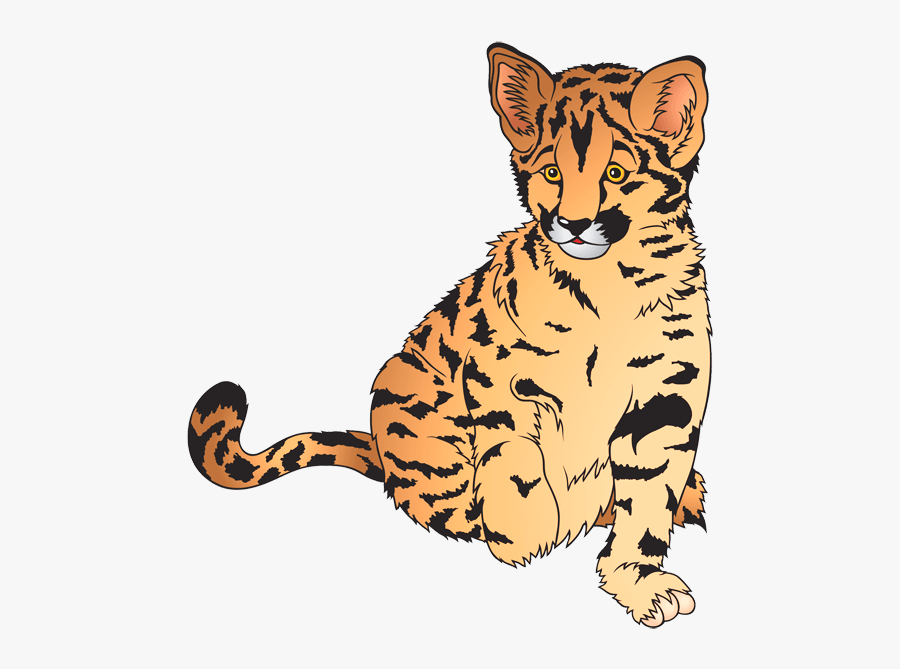 Cub Clipart Zoo Animal - Leopard Cartoon, Transparent Clipart