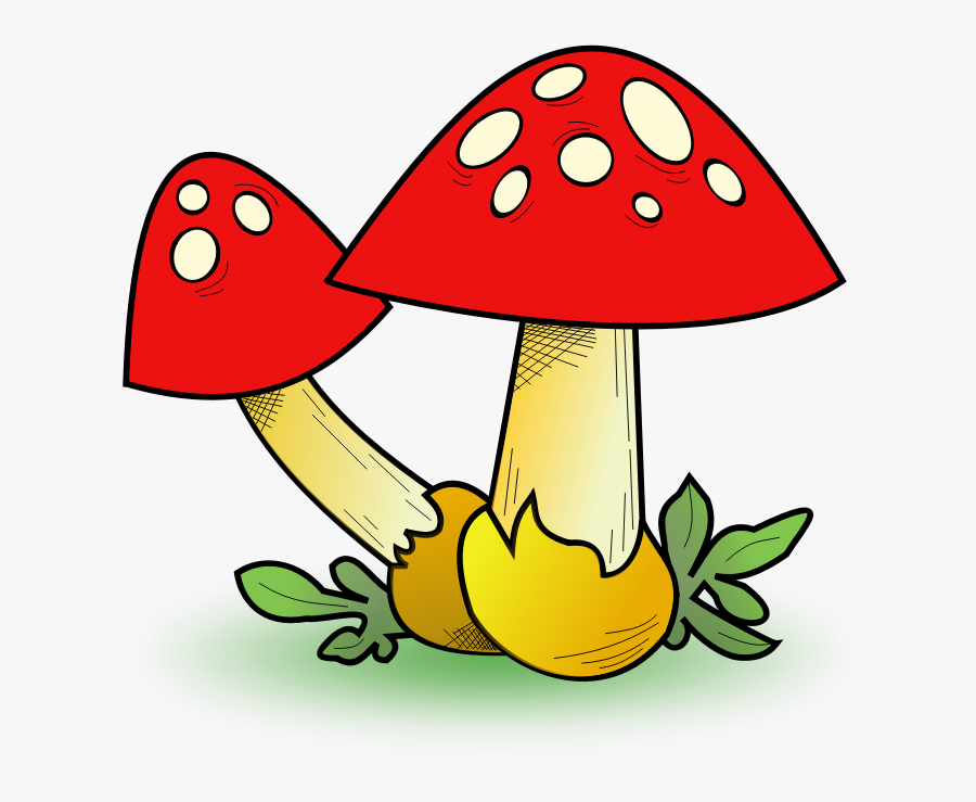 Mushroom Clipart, Transparent Clipart