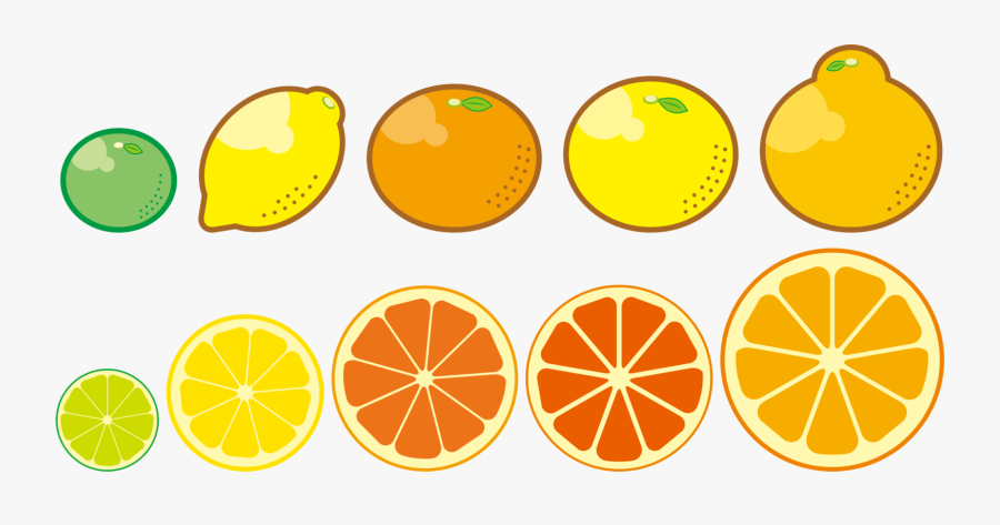 Plant,vegetarian Food,lemon - Citrus Trees Clip Art, Transparent Clipart