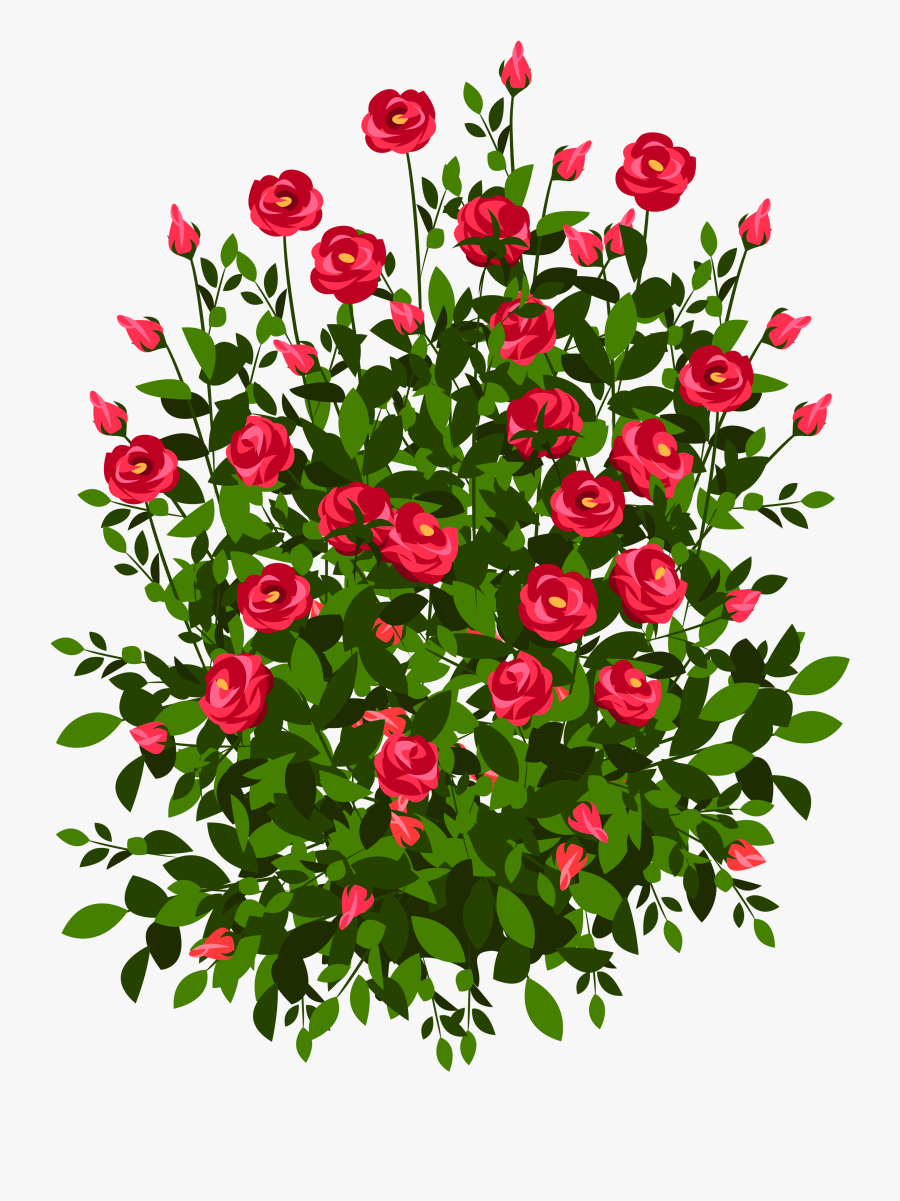 Roses Plant Clipart - Easy Rose Bush Drawing, Transparent Clipart