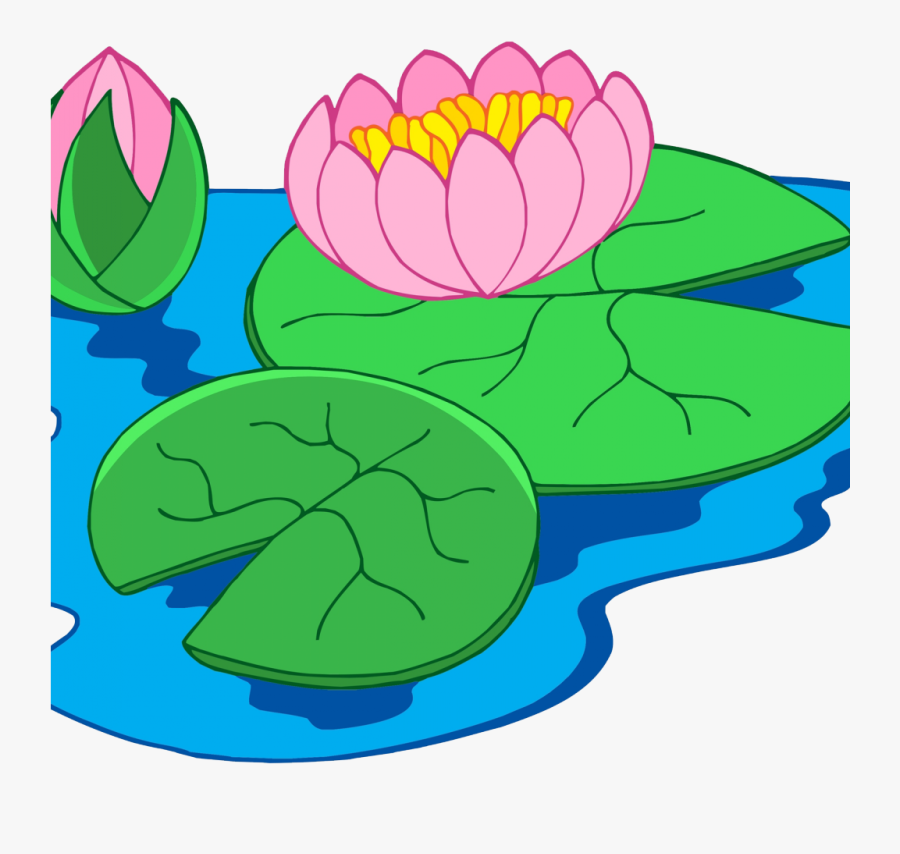 Water Lily Plant Clipart - Water Lily Clip Art, Transparent Clipart