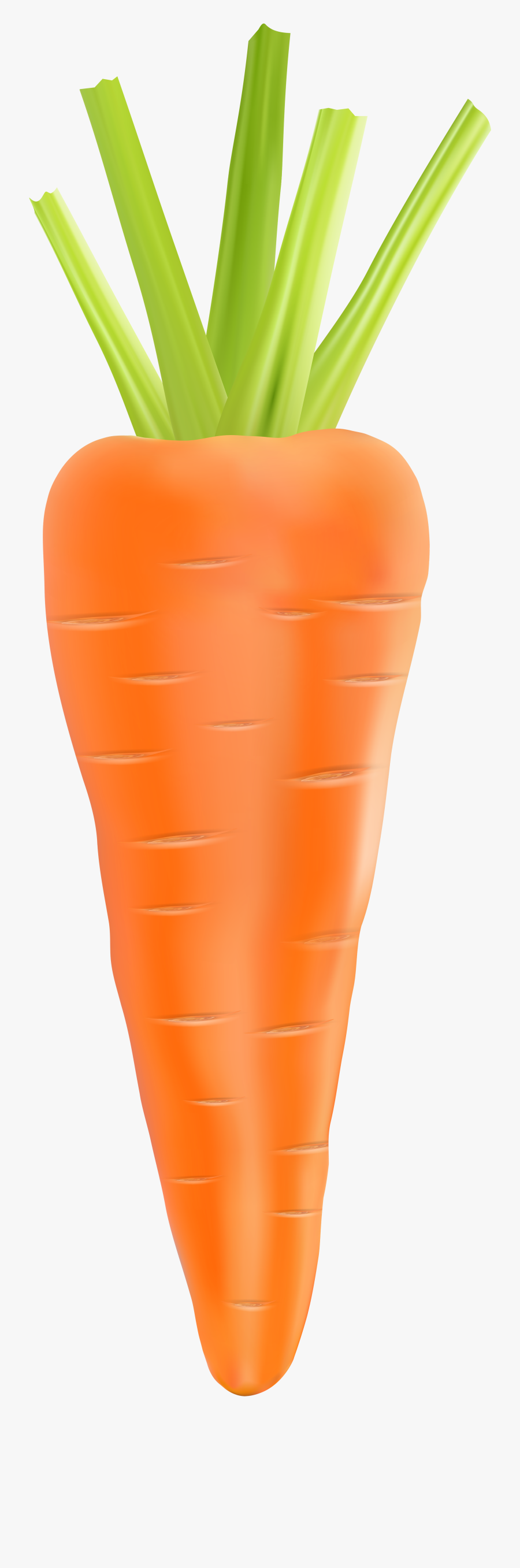 Carrot Clipart Free Download Clip Art Of Carrot Clipart - Transparent Background Carrot Transparent, Transparent Clipart