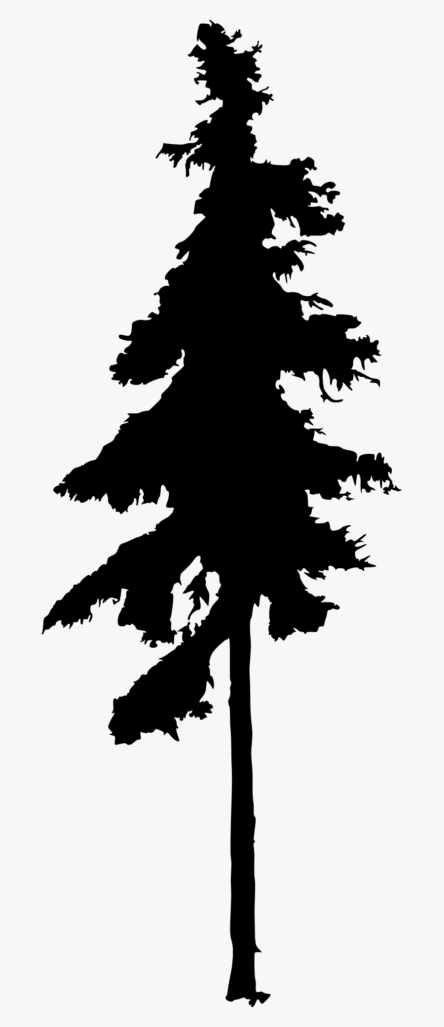 Eastern White Pine Silhouette At Getdrawings - Png Pine Tree Silhouette, Transparent Clipart