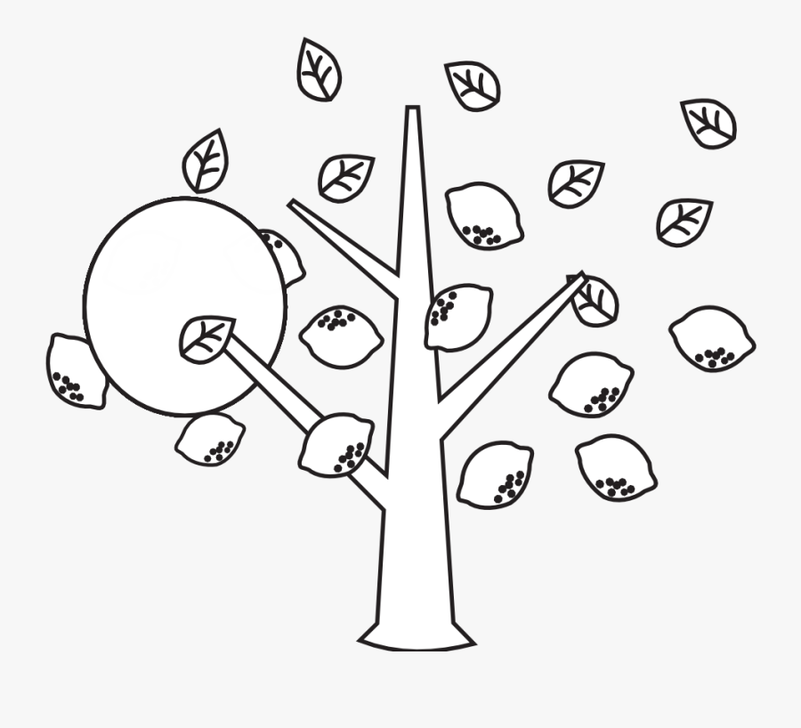 Lemon Tree Clipart Black And White - Line Art, Transparent Clipart