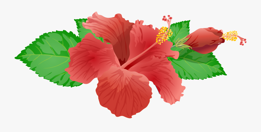 Red Flower Png Clip Art Image, Transparent Clipart