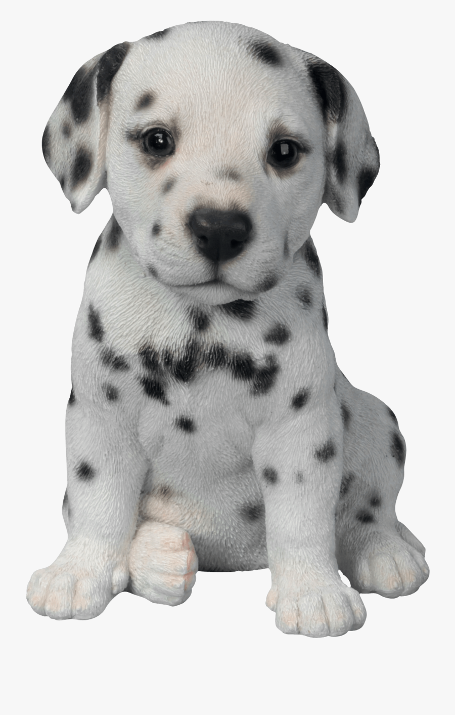 Cute Puppies Transparent Png - Dalmatian Puppy, Transparent Clipart