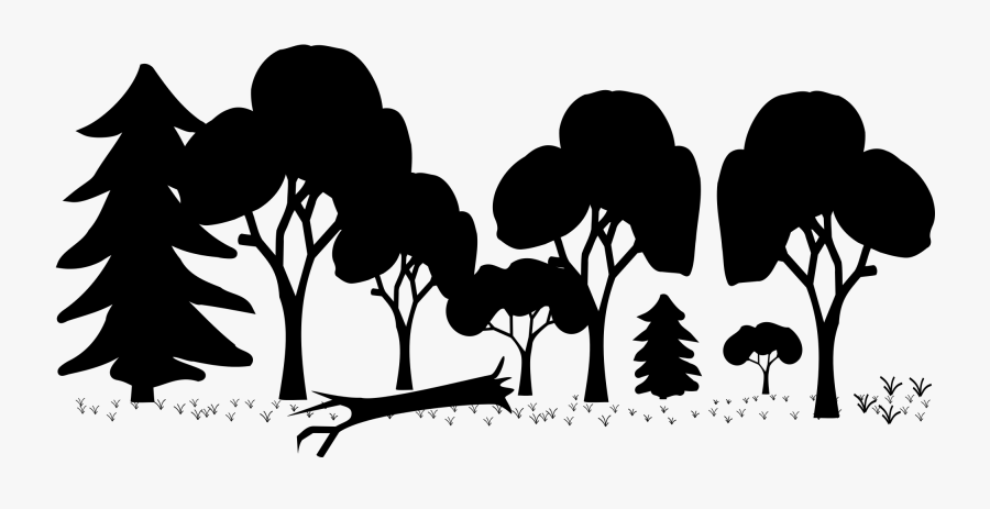 Mixed Forest Silhouette Scaled - Mixed Forest Clip Art, Transparent Clipart