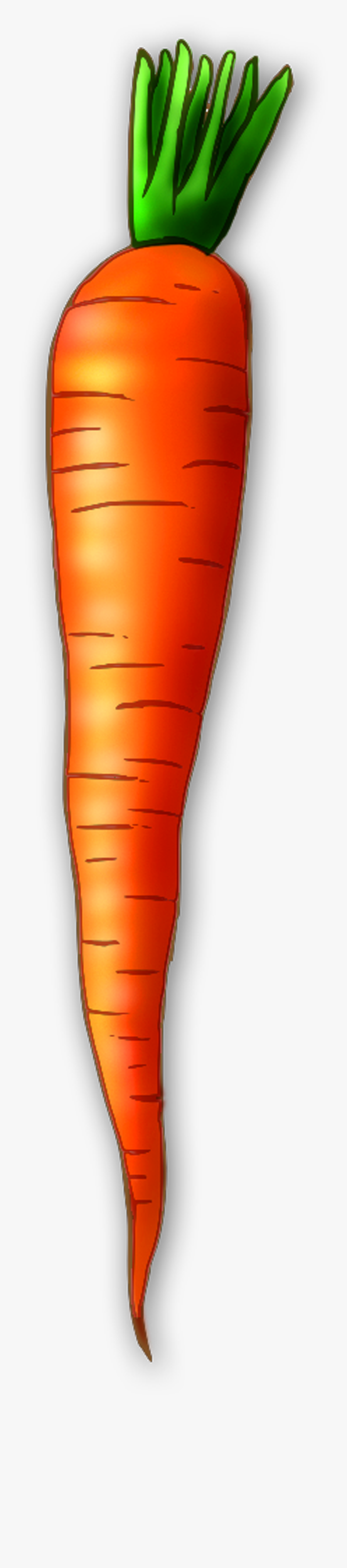 Carrot - Clipart - Carrot Clipart, Transparent Clipart
