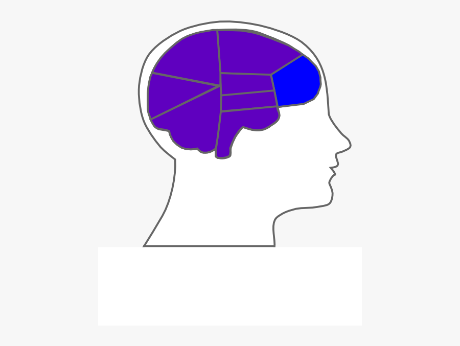 Head And Brain Outline Svg Clip Arts - Human Brain, Transparent Clipart