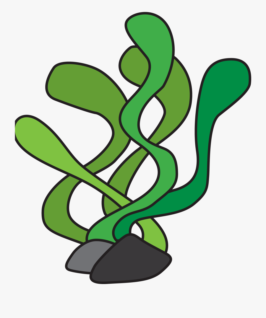 Free Fish Seaweed Cliparts, Download Free Clip Art, - Algae Clipart Transparent Background, Transparent Clipart