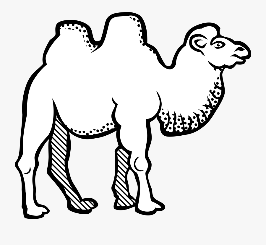 Kamel Lineart Clipart - Bactrian Camel Black And White, Transparent Clipart