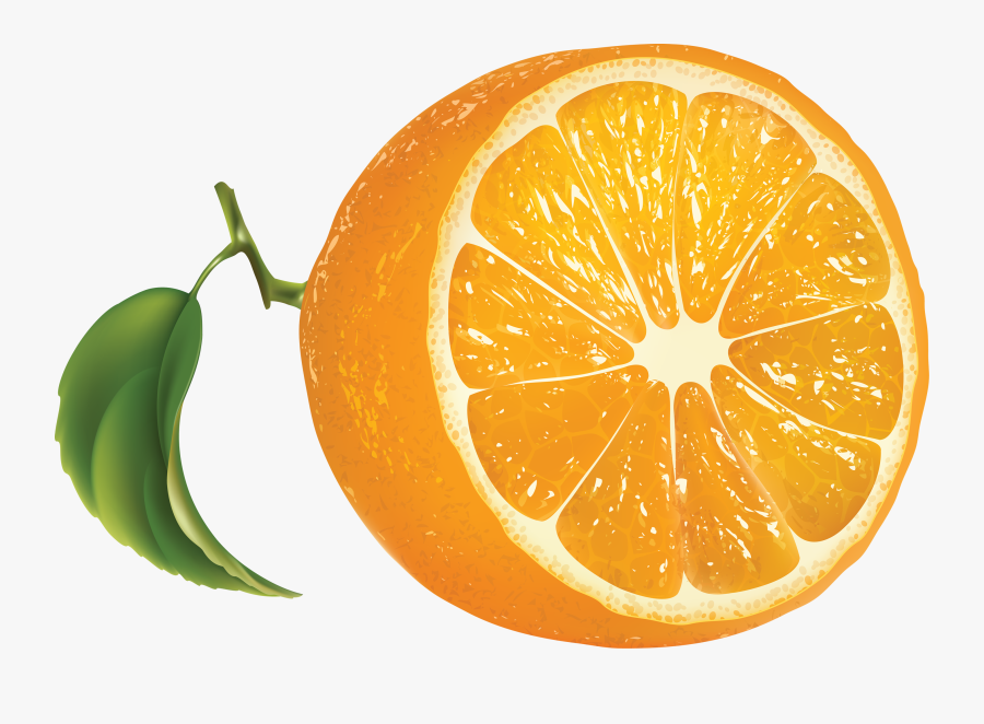 Oranges Png Image - Orange Clipart Transparent Background, Transparent Clipart