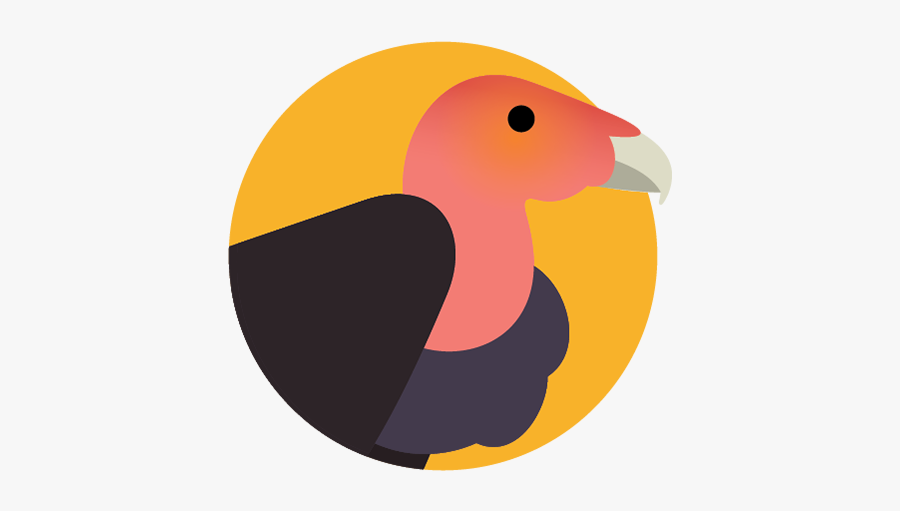 California Condor - Illustration, Transparent Clipart
