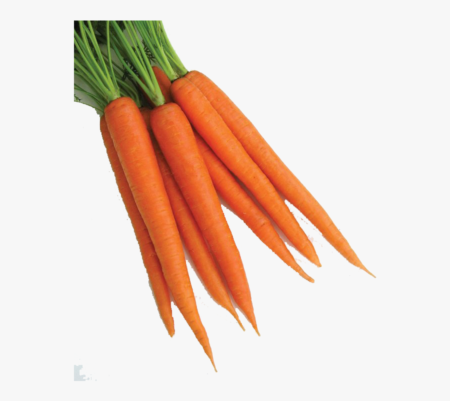 Carrot Png Clipart - Carrot Png, Transparent Clipart