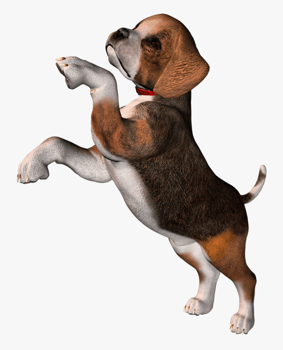 Perro Clipart Beagle - Beagle, Transparent Clipart