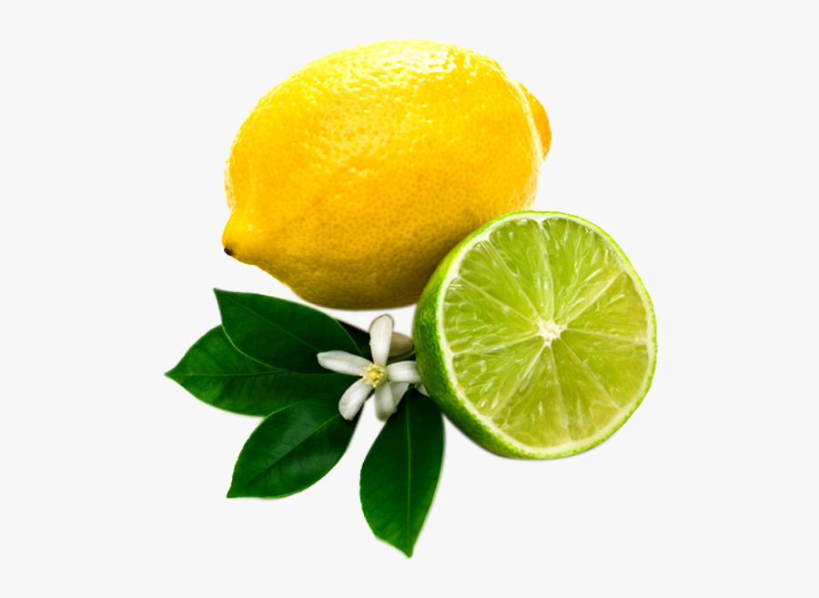Transparent Clipart Image Lemon Png Image With Leaf - Lemon Lime Transparent Background, Transparent Clipart