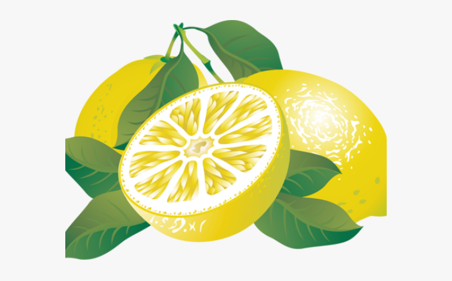 Transparent Lemon Clipart - Lemons Clipart, Transparent Clipart