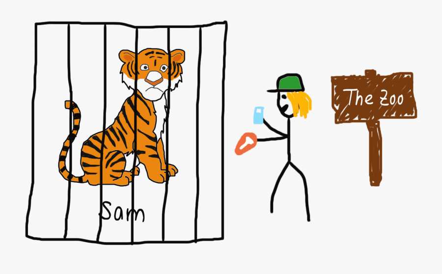 Tiger In Zoo Drawings, Transparent Clipart