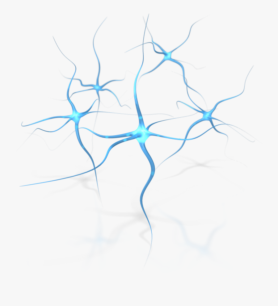 Neuron Human Brain Neuropsychology Clip Art - Neuron, Transparent Clipart
