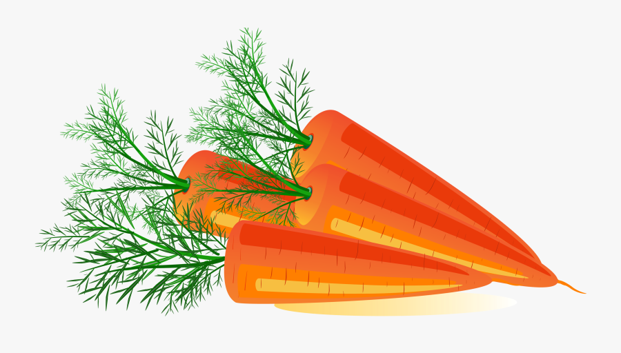 Carrot Png Image - Transparent Background Carrot Clip Art Png, Transparent Clipart