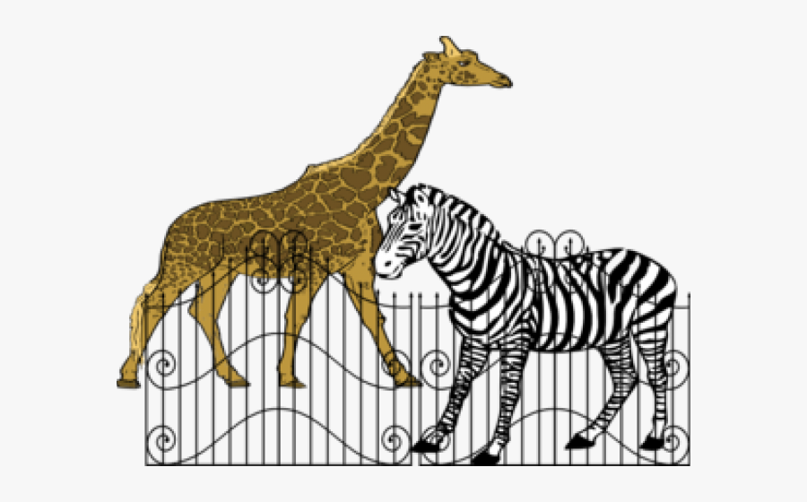 Animals In Zoos Clipart, Transparent Clipart