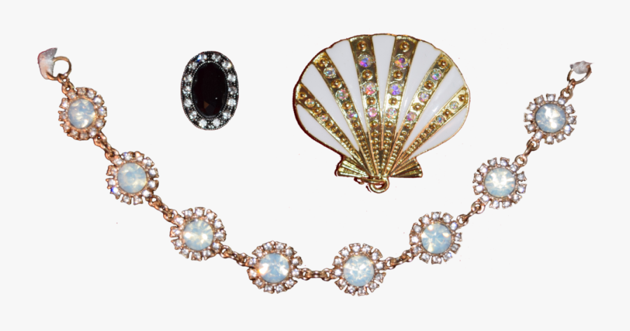 Seashell Clipart Images Free Best - Portable Network Graphics, Transparent Clipart