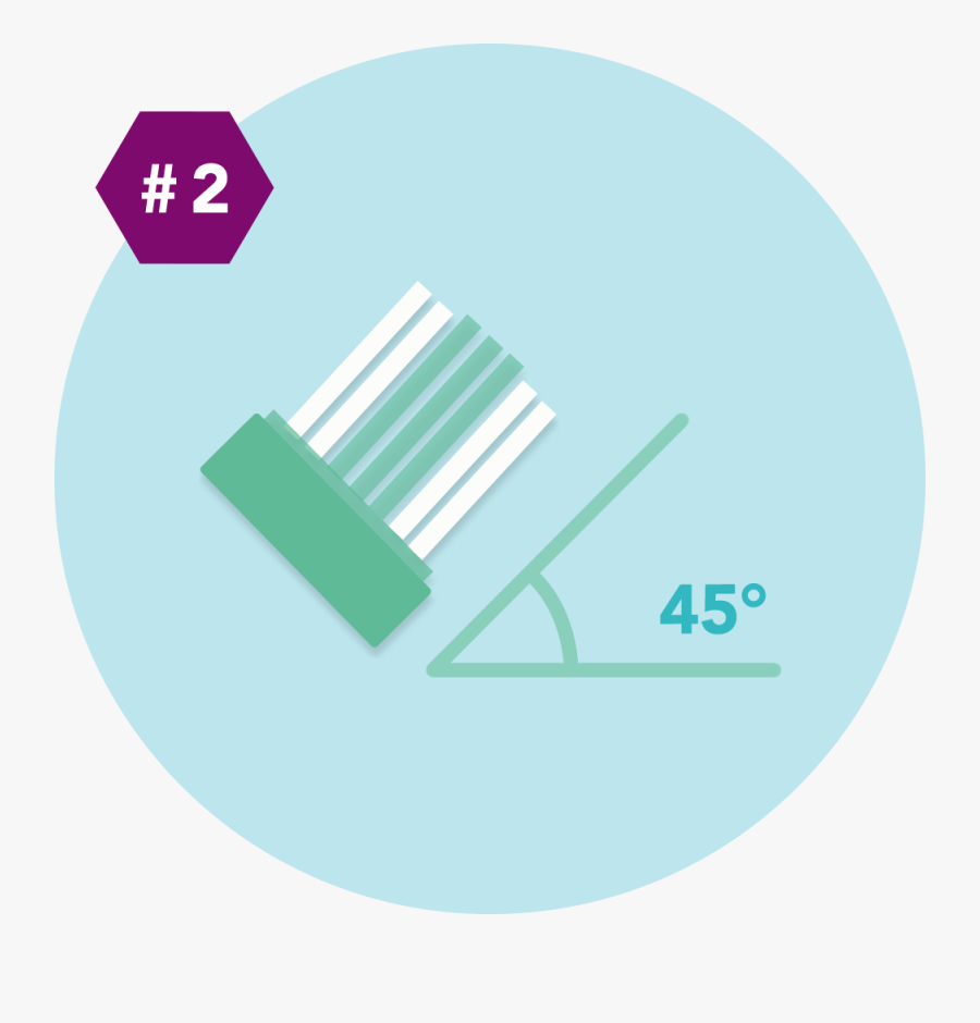 The Best Way To Brush Your Teeth, Is By Placing Your - Circle, Transparent Clipart