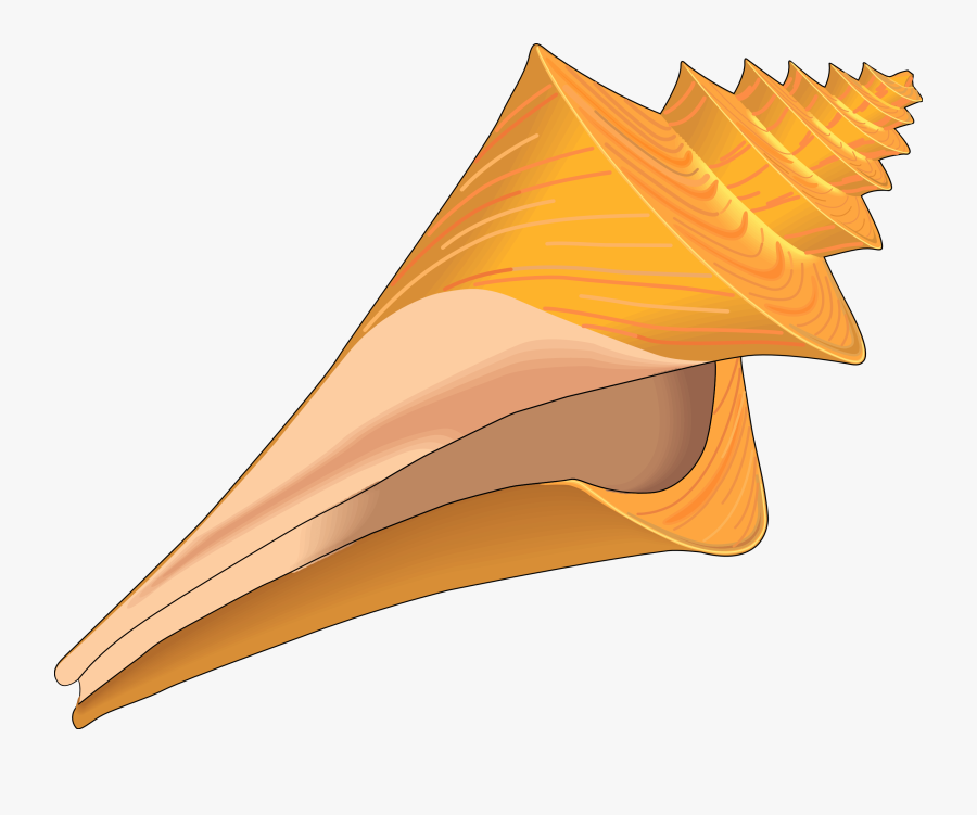 Clip Art Seashells - 2 Seashell Clipart, Transparent Clipart