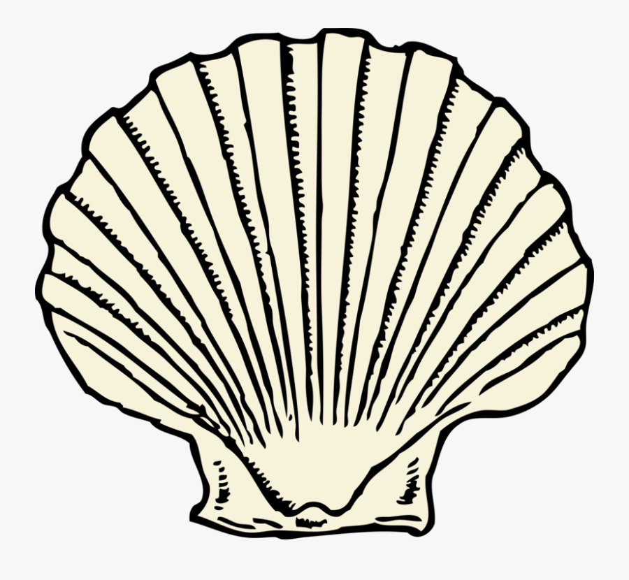 Shell Clipart, Transparent Clipart