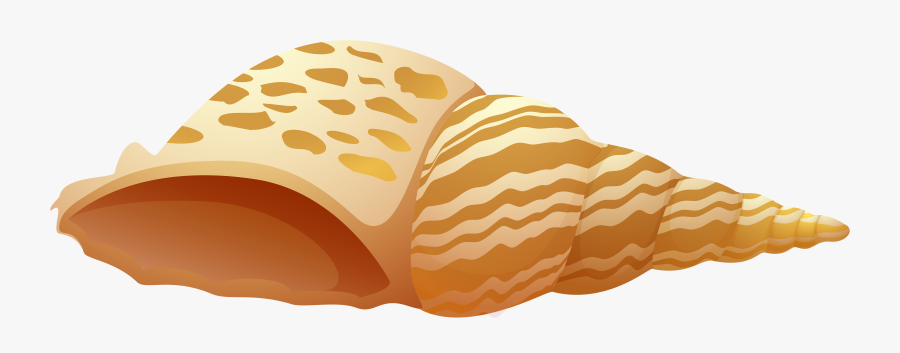 Sea Shell Clipart Png, Transparent Clipart