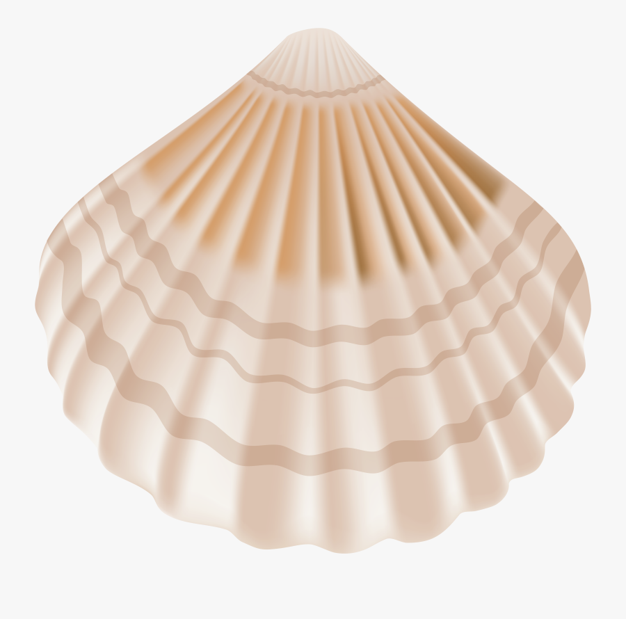 Seashell Png Clip Art - Transparent Background Clipart Transparent Seashells, Transparent Clipart