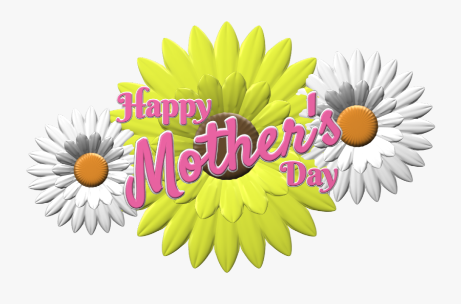 Transparent Happy Mother Day Png - African Daisy, Transparent Clipart