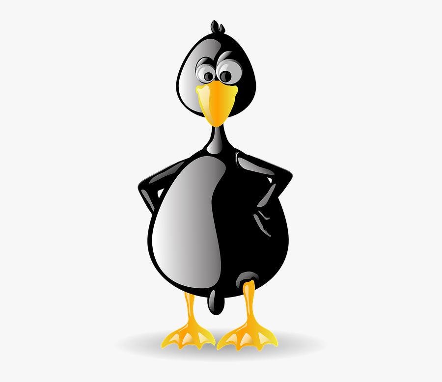 Penguin, Tux, Animal, Bird, Black, Beak, Zoo, Linux - Tux Clemente, Transparent Clipart