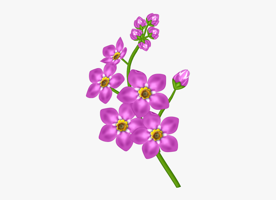 Flower Clipart Flowering Plant - Transparent Flower Clip Art, Transparent Clipart