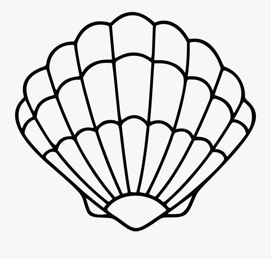 Clip Art Beach Shell Clipart - Clip Art Sea Shell, Transparent Clipart