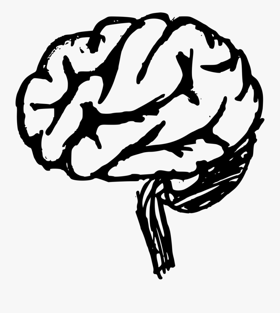 Line Art,black And White,coloring Book,hand,clip Art,illustration - Transparent Brain Overlay, Transparent Clipart