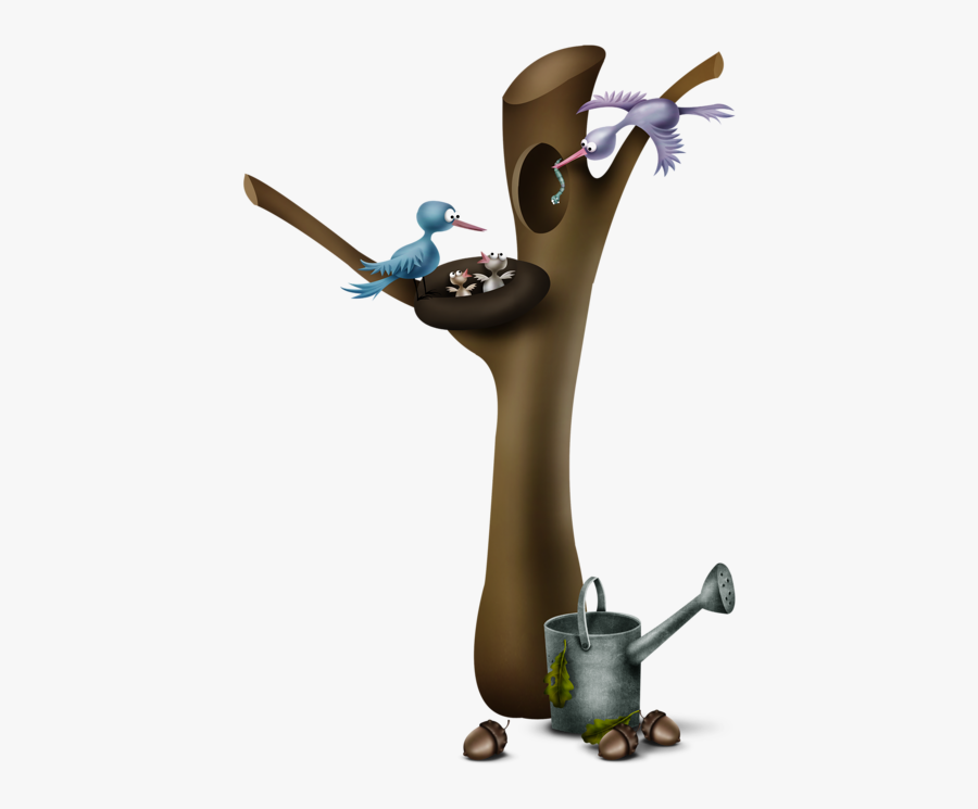 Still Life Photography, Transparent Clipart