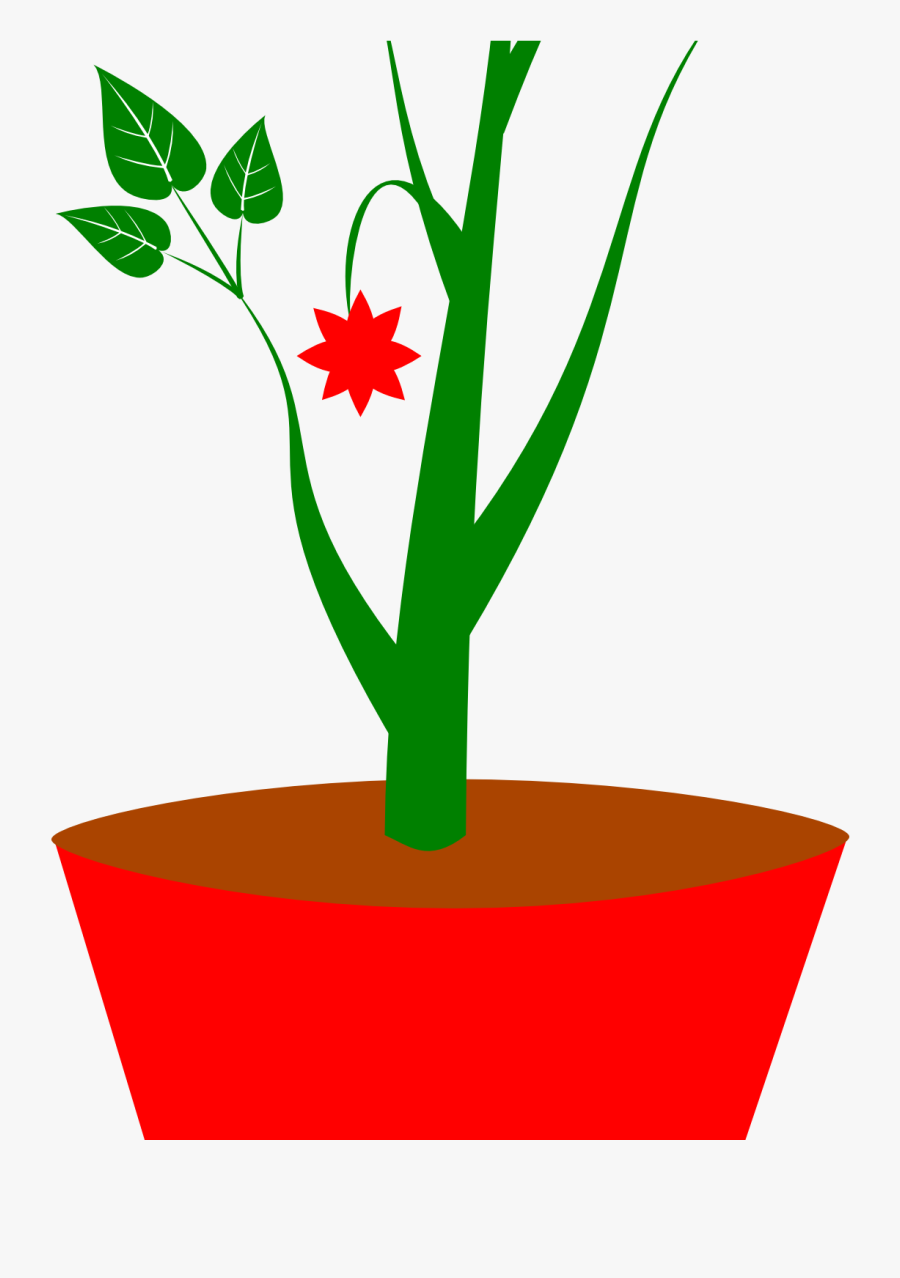 Plants Clipart Potted Plant - Gambar Pot Bunga Kartun, Transparent Clipart