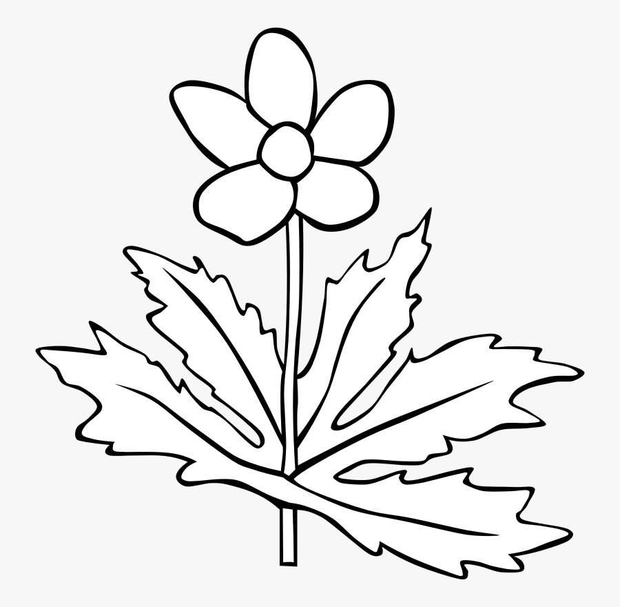 Free Clipart - Flower Outline, Transparent Clipart