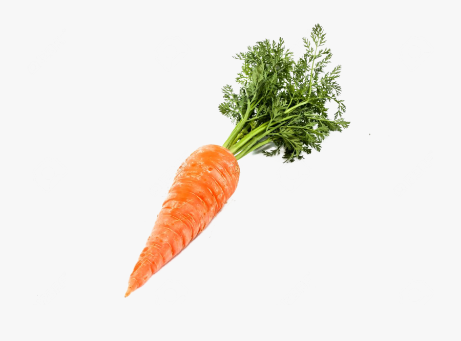 Carrot Clipart Single Vegetable - Transparent Background Carrot Png, Transparent Clipart