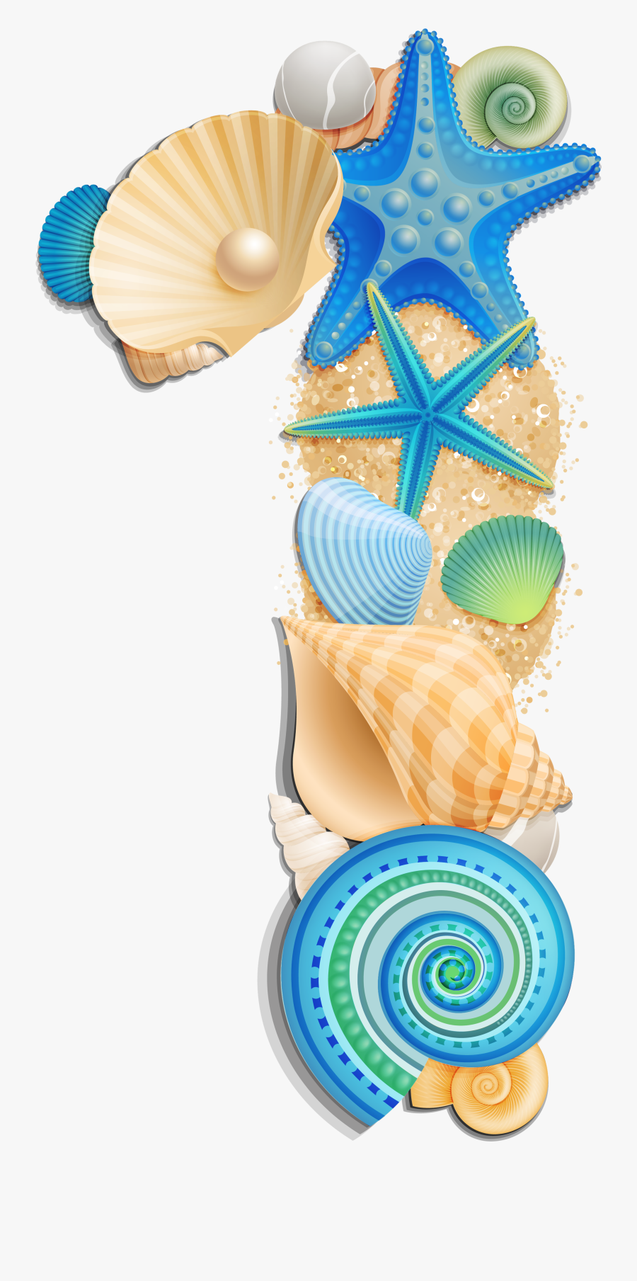 Pin By On Pinterest - Transparent Background Seashells Png, Transparent Clipart