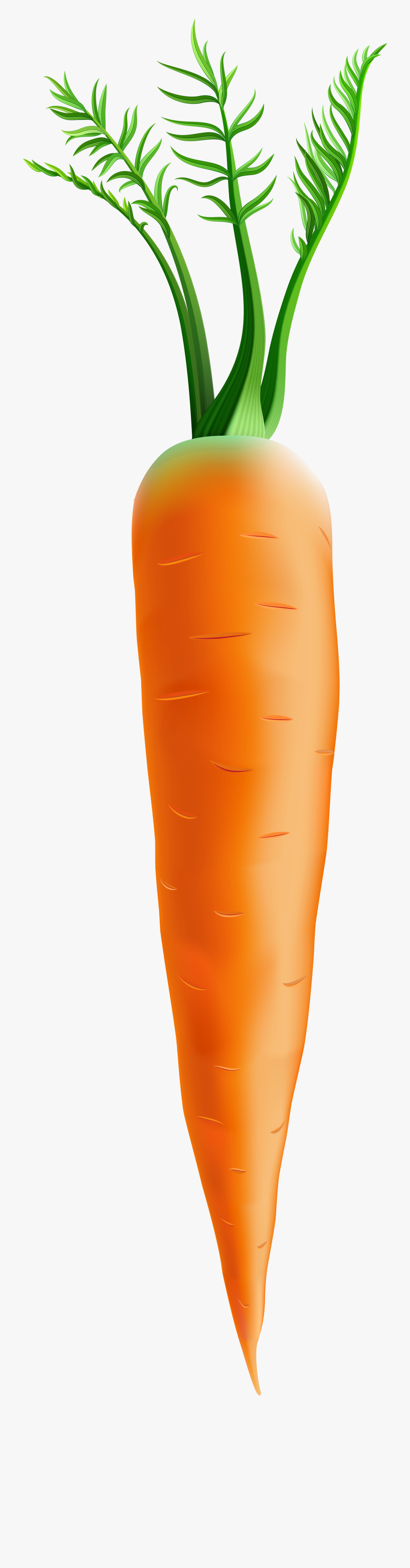 Carrot Clipart Png, Transparent Clipart