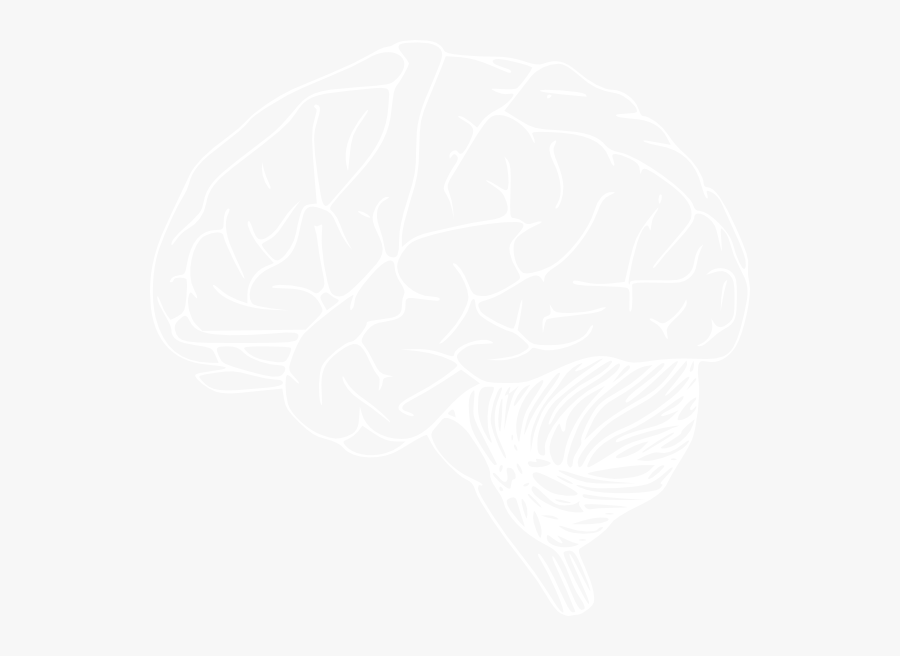 Brain Clipart Line Art - Infantile Spasms Awareness Week 2018, Transparent Clipart