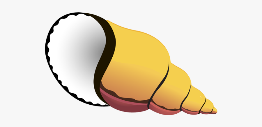 Cute Sea Shells Clipart - Cartoon Seashell Clip Art, Transparent Clipart