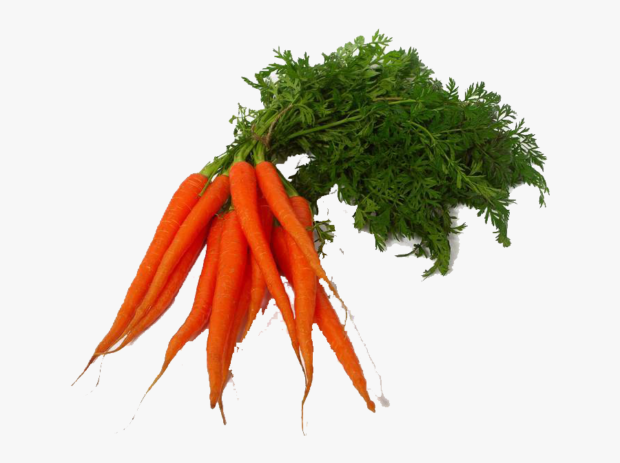 Download Carrot Png Clipart - Vegetables Png Transparent, Transparent Clipart